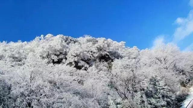 为什么总是有人说我学坏了 却没有人会懂我？问我为什么变成这样？游戏画面