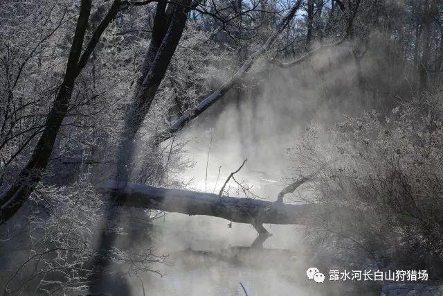 绝地求生坦克版2