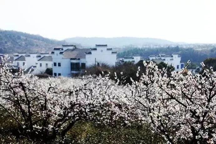 冰淇淋的诱惑